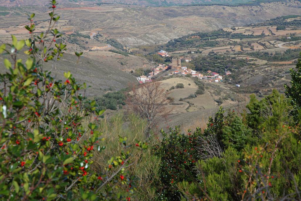 Vivienda Turistica Mesones Apartment Agreda
